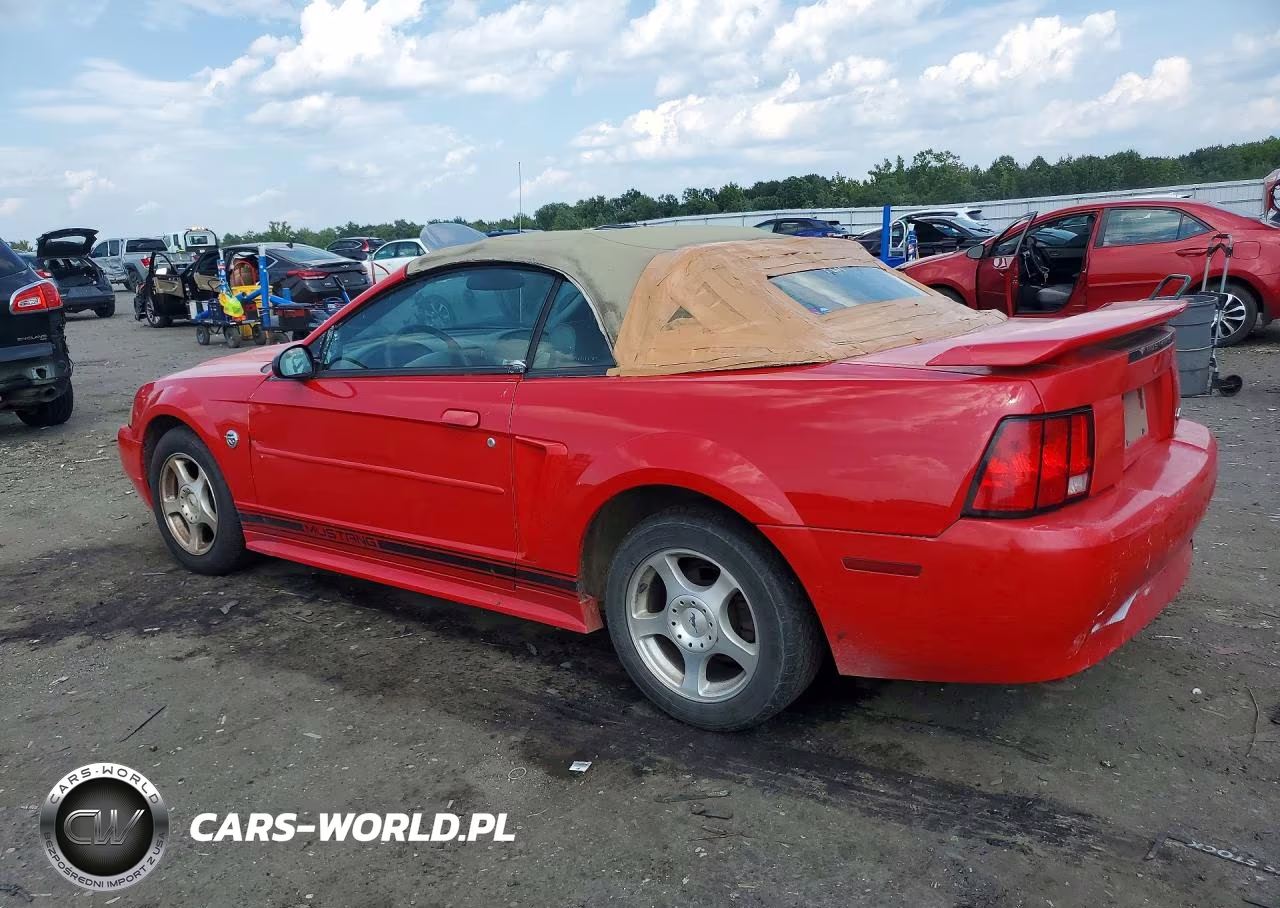 2004 Ford Mustang VIN:1FAFP44664F208095 - 2