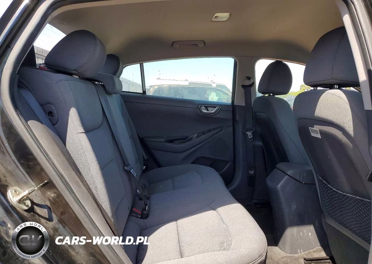 2020 Hyundai Ioniq Blue VIN:KMHC65LC4LU227960 - 10