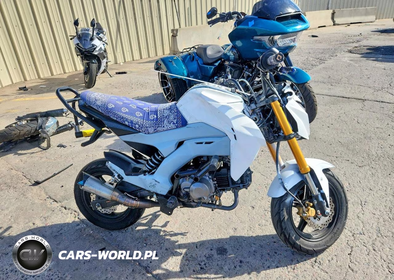 2022 Kawasaki Br125 J – zdjęcie 1 z 9