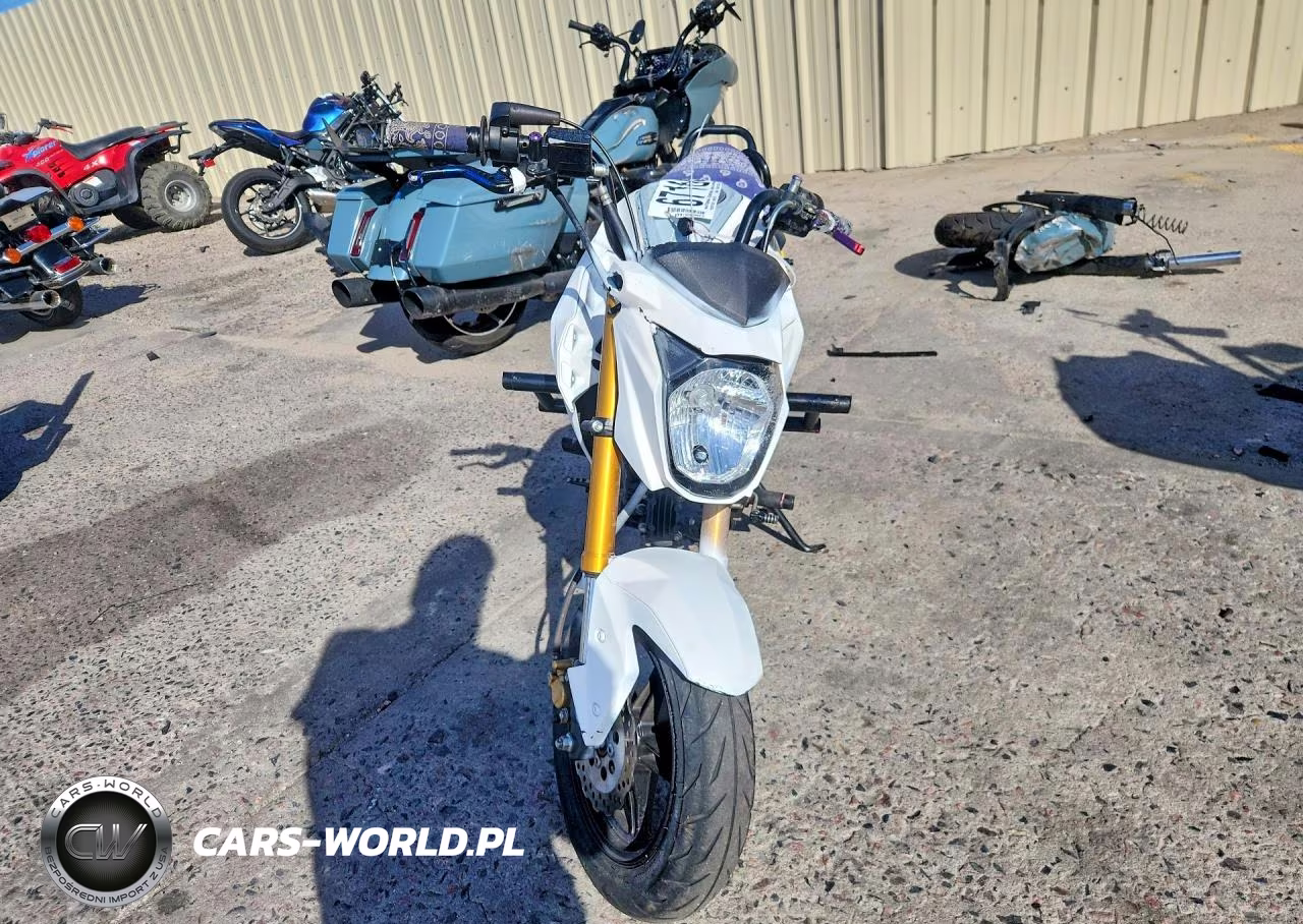 2022 Kawasaki Br125 J VIN:JKABRRJ13NDA23585 - 2
