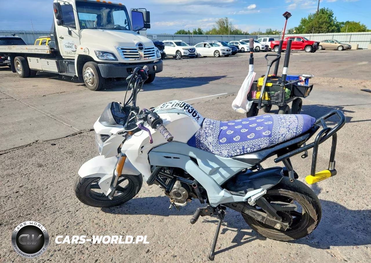 2022 Kawasaki Br125 J VIN:JKABRRJ13NDA23585 - 3
