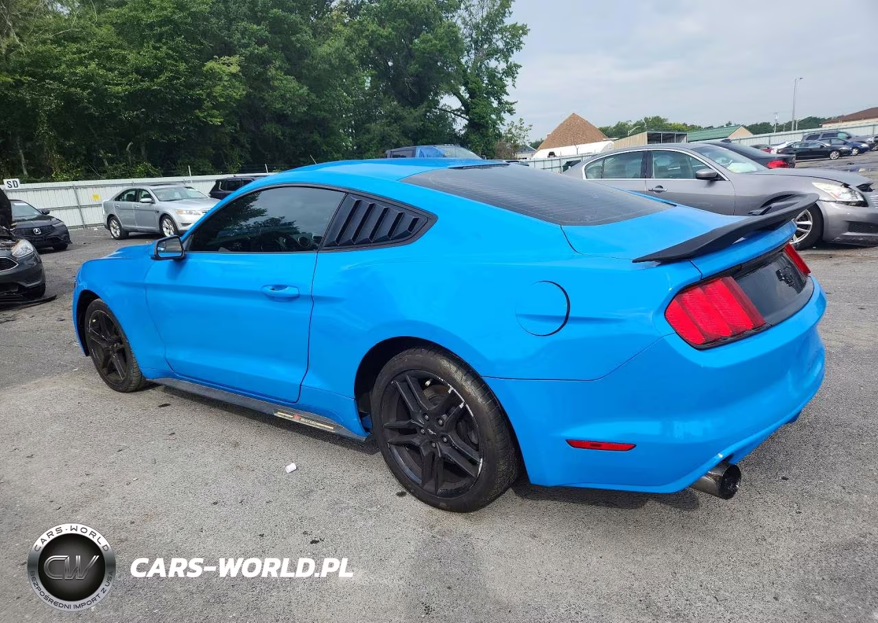 2017 Ford Mustang VIN:1FA6P8TH9H5345800 - 2