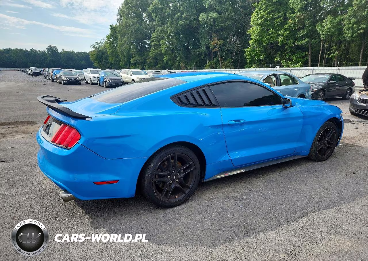 2017 Ford Mustang VIN:1FA6P8TH9H5345800 - 3
