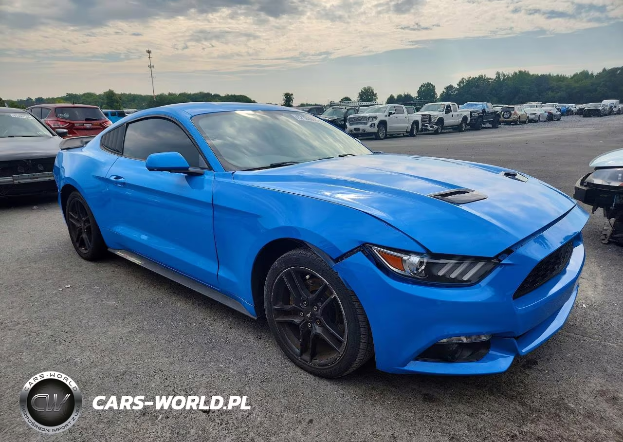 2017 Ford Mustang VIN:1FA6P8TH9H5345800 - 4