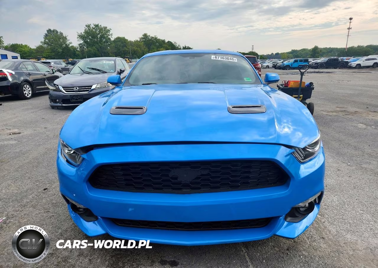 2017 Ford Mustang VIN:1FA6P8TH9H5345800 - 5
