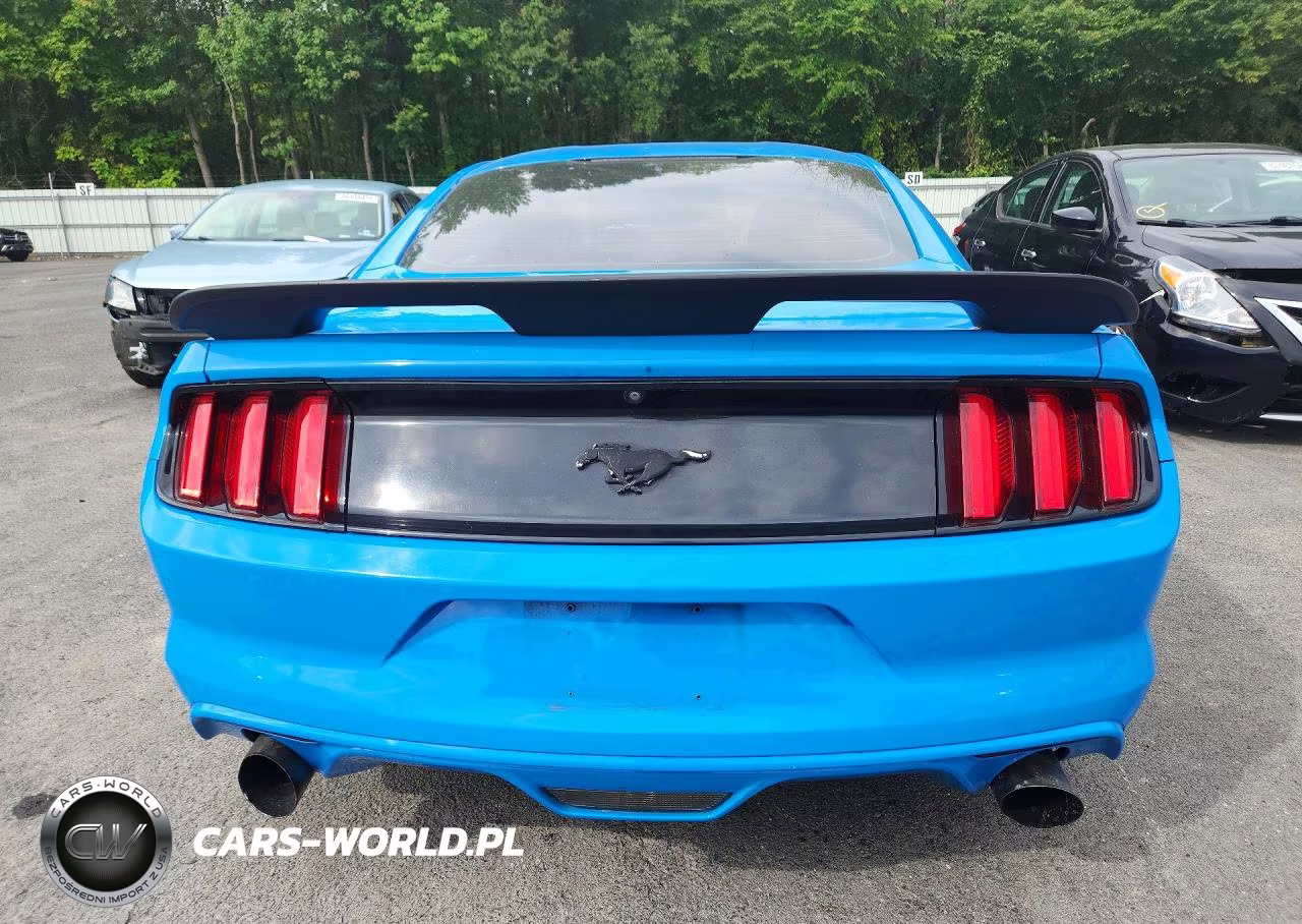 2017 Ford Mustang VIN:1FA6P8TH9H5345800 - 6