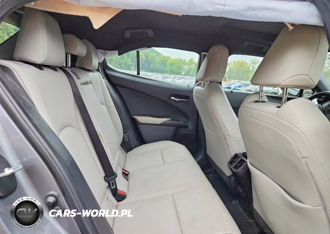 2020 Lexus Ux 250H VIN:JTHP9JBH5L2034665 - 10