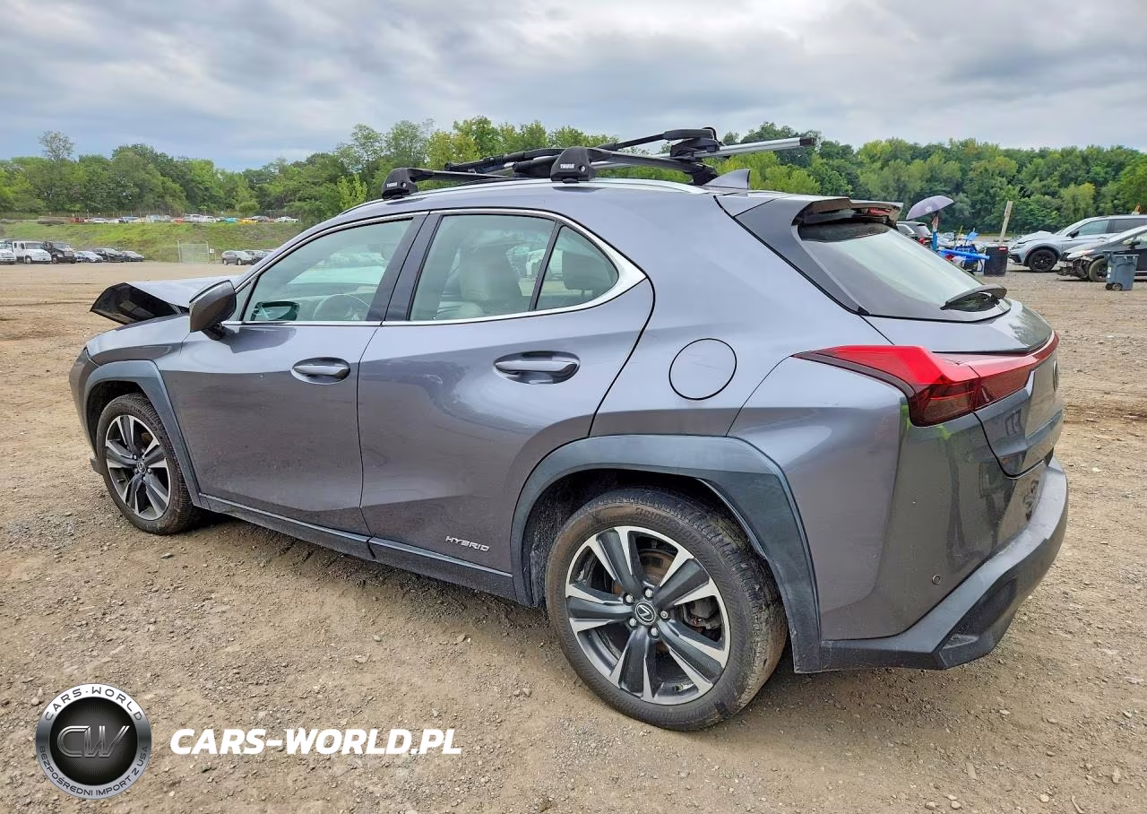 2020 Lexus Ux 250H VIN:JTHP9JBH5L2034665 - 2