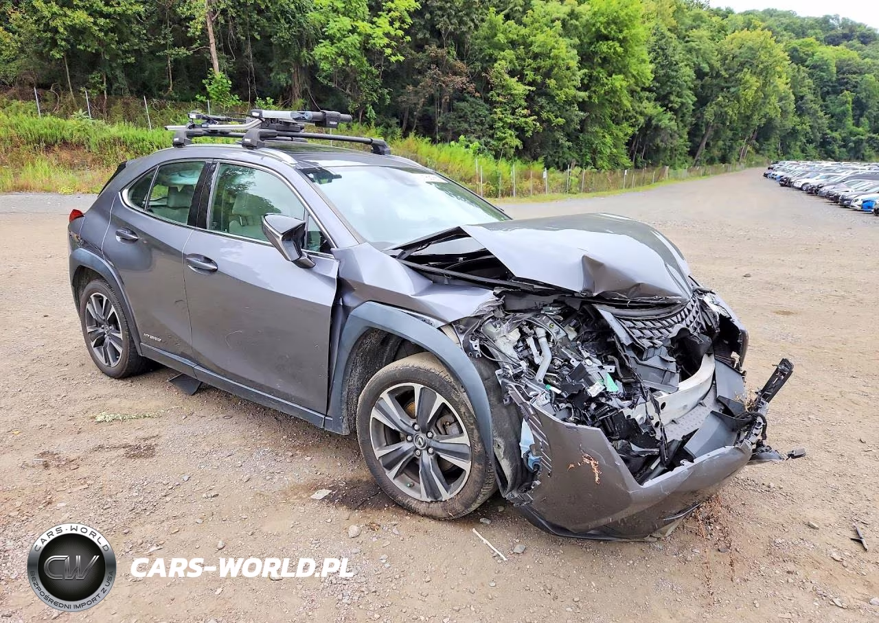 2020 Lexus Ux 250H VIN:JTHP9JBH5L2034665 - 4