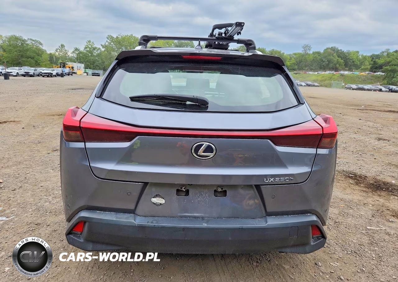 2020 Lexus Ux 250H VIN:JTHP9JBH5L2034665 - 6