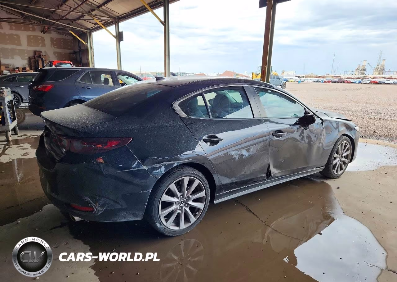 2019 Mazda 3 Preferred VIN:3MZBPADL5KM108898 - 3
