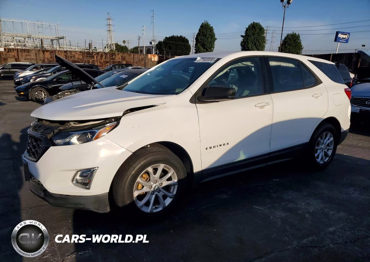 2019 Chevrolet Equinox Ls – zdjęcie 1 z 12