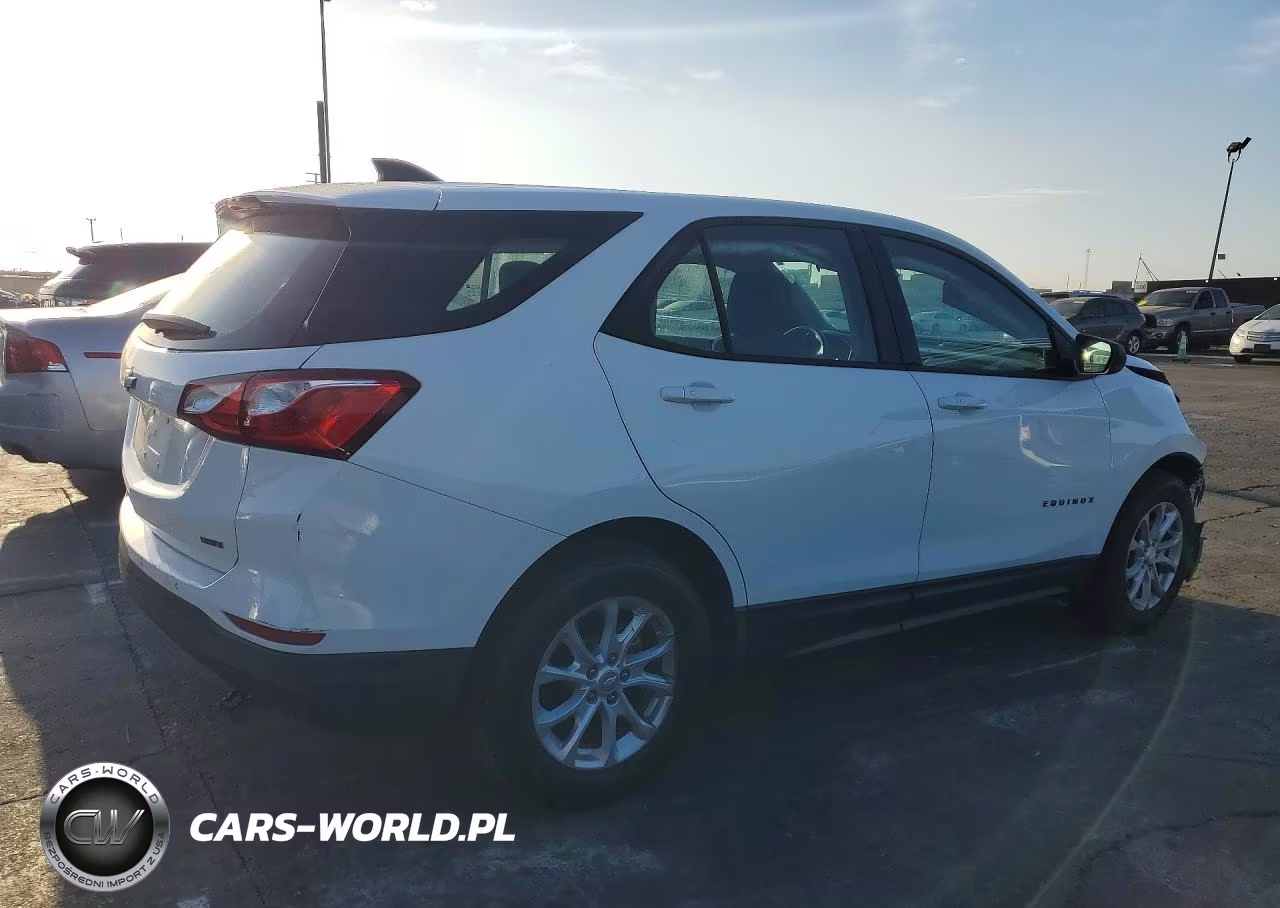 2019 Chevrolet Equinox Ls VIN:3GNAXHEV5KS506140 - 3