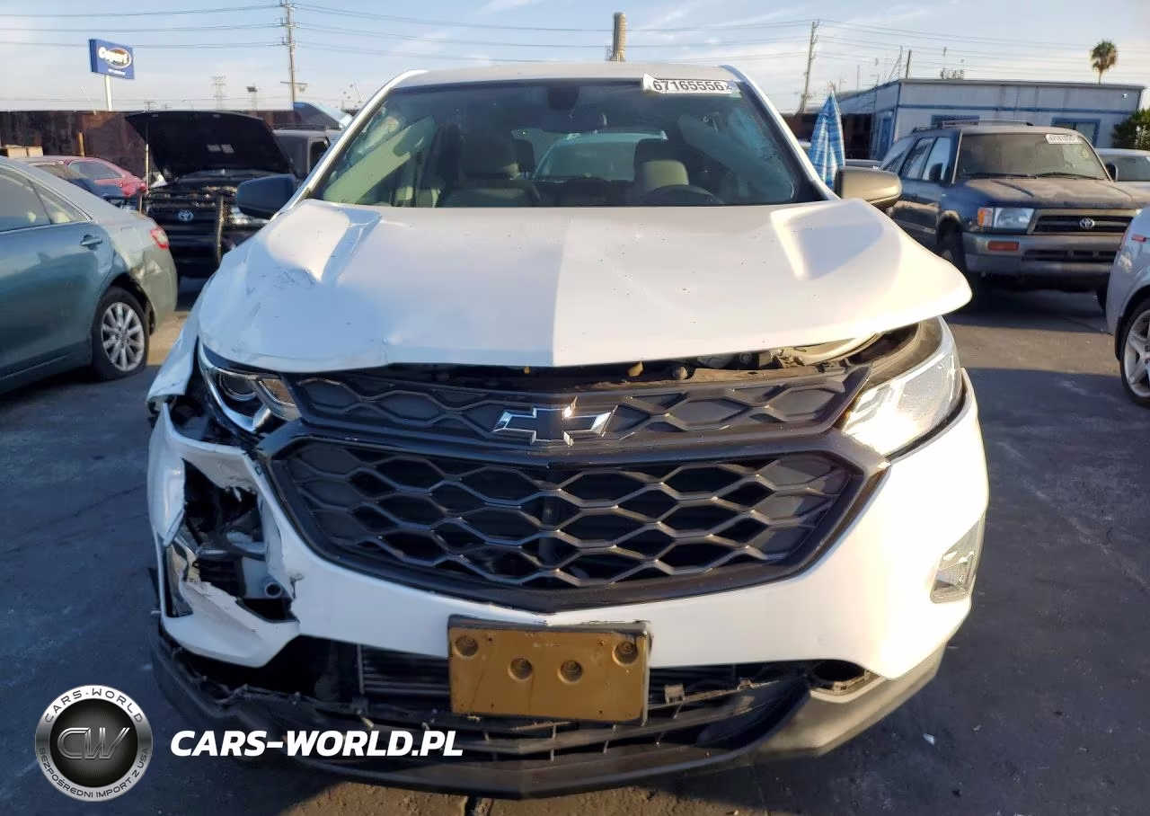 2019 Chevrolet Equinox Ls VIN:3GNAXHEV5KS506140 - 5