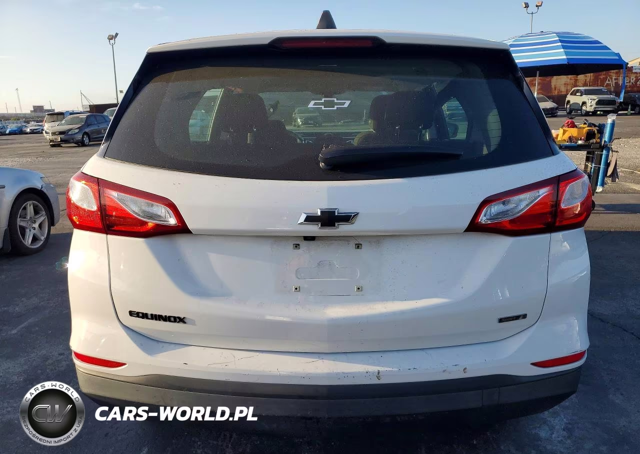 2019 Chevrolet Equinox Ls VIN:3GNAXHEV5KS506140 - 6