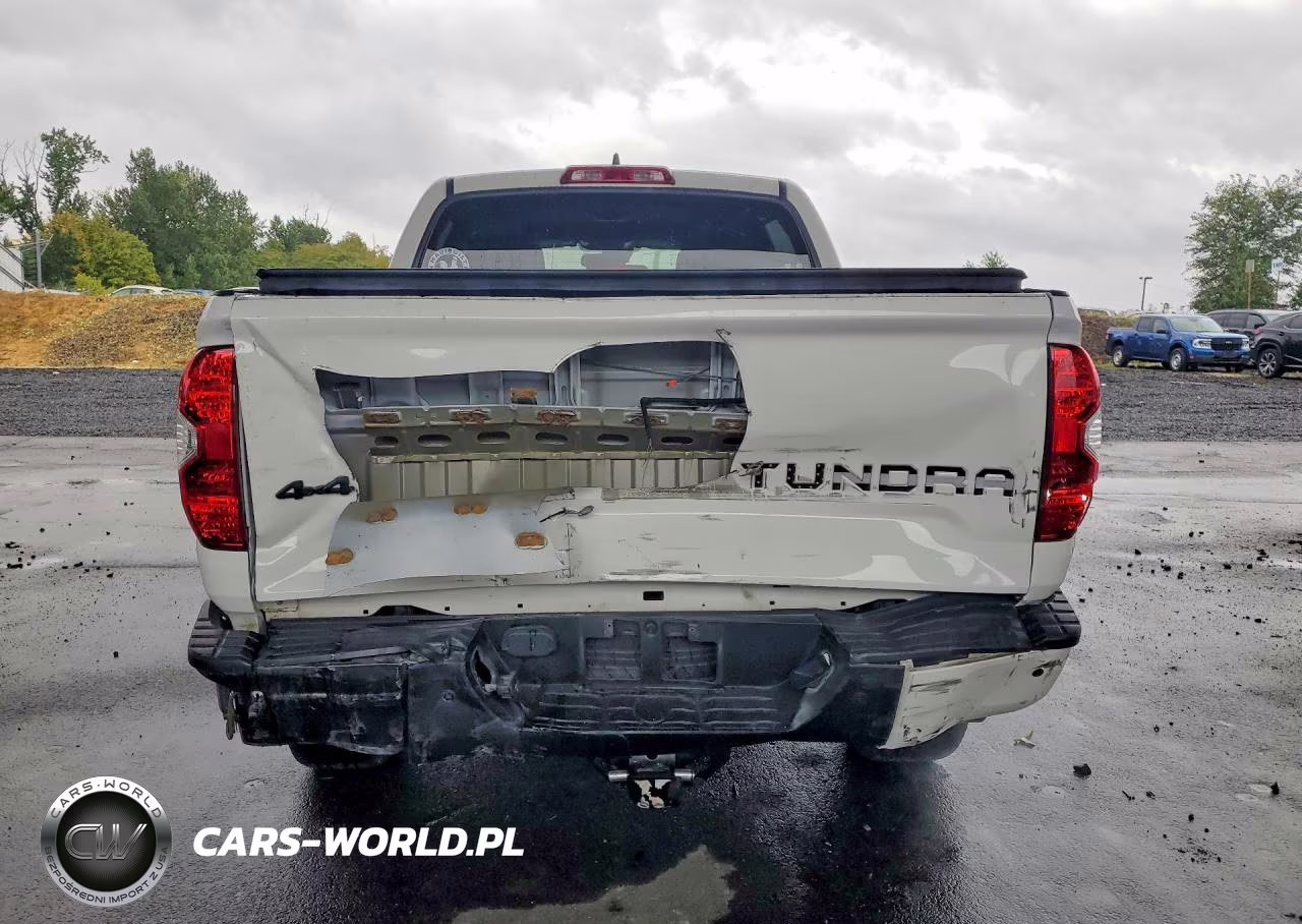 2020 Toyota Tundra Platinum VIN:5TFAY5F11LX929202 - 6