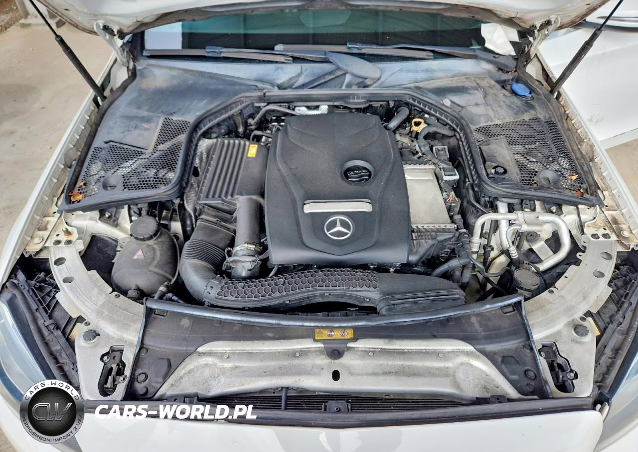 2018 Mercedes-Benz C 300 VIN:55SWF4JB0JU238464 - 11