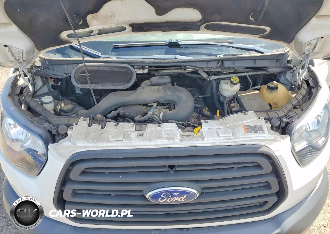 2019 Ford Transit T-250 VIN:1FTYR2CM6KKB07709 - 12