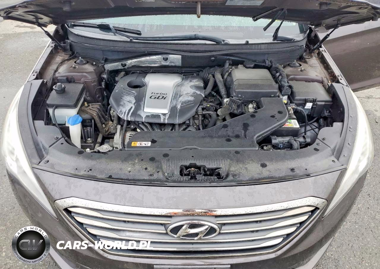 2015 Hyundai Sonata Eco VIN:5NPE24AA6FH110707 - 11