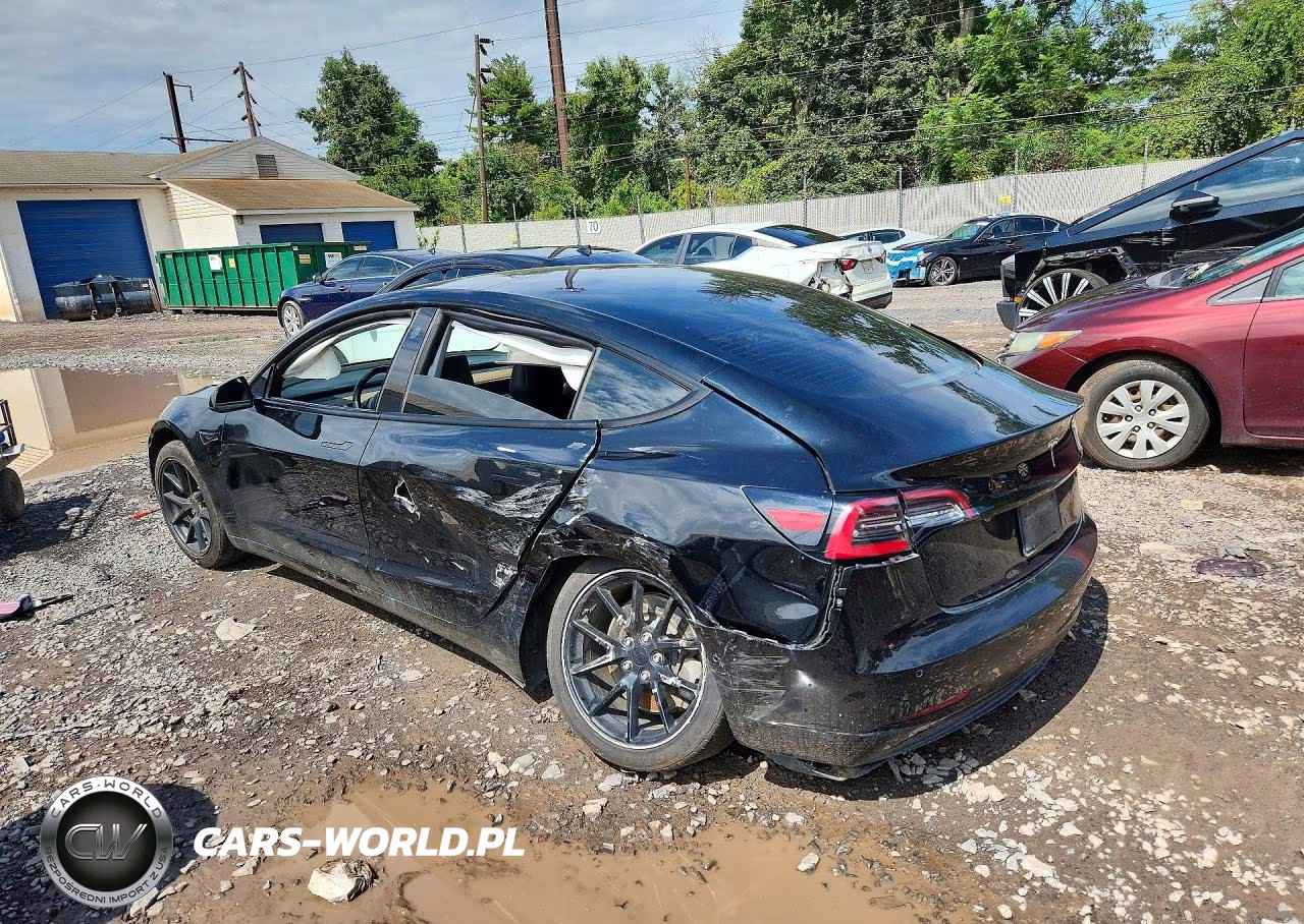 2021 Tesla Model 3 VIN:5YJ3E1EA8MF029050 - 2