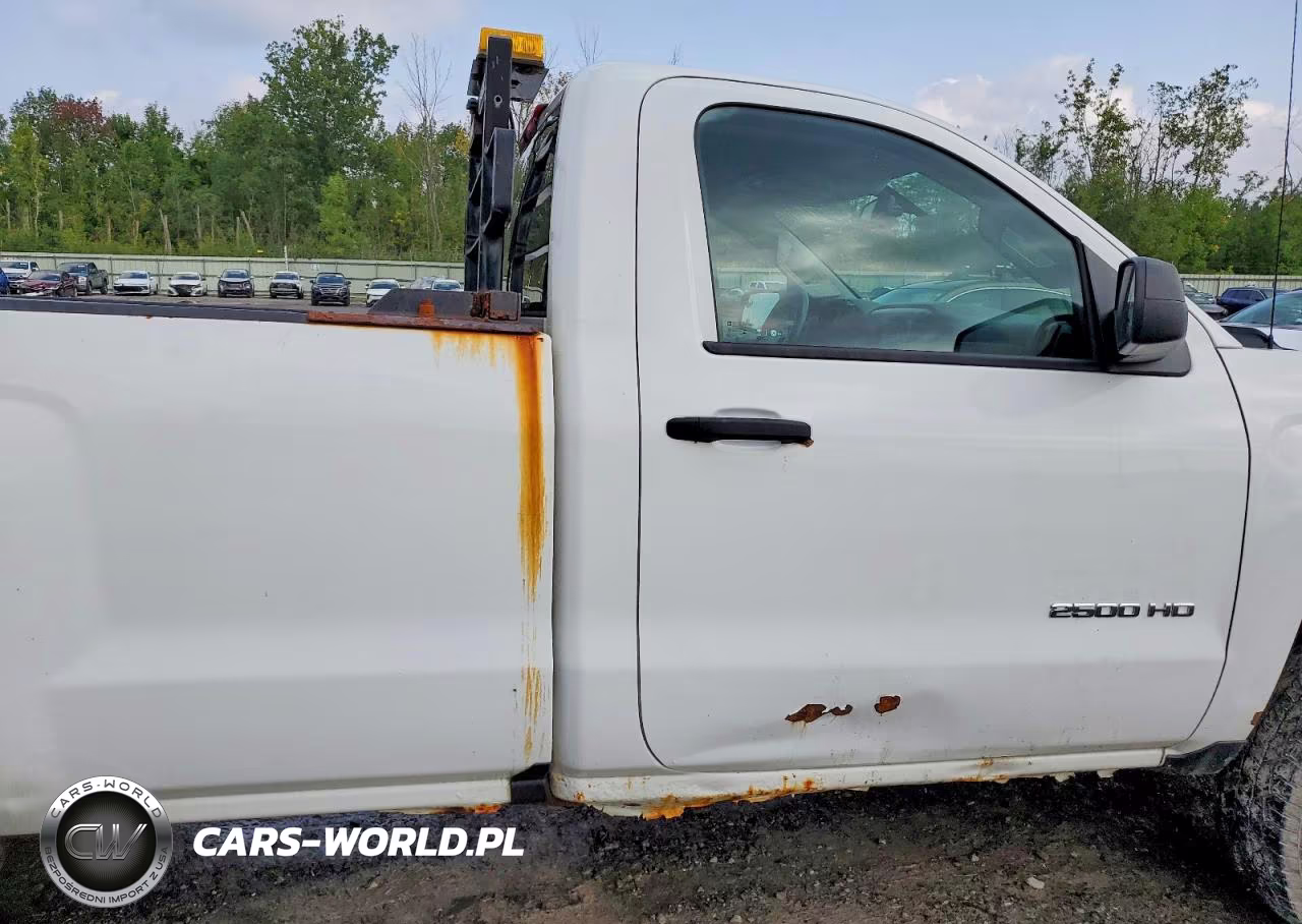 2018 Chevrolet Silverado K2500 Heavy Duty VIN:1GC0KUEGXJZ131795 - 10