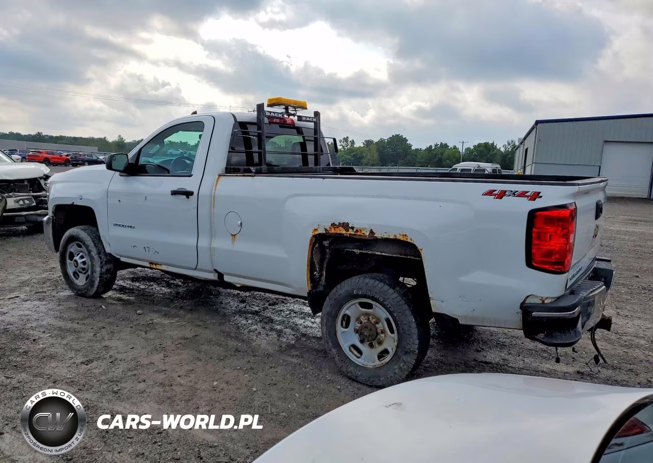 2018 Chevrolet Silverado K2500 Heavy Duty VIN:1GC0KUEGXJZ131795 - 2