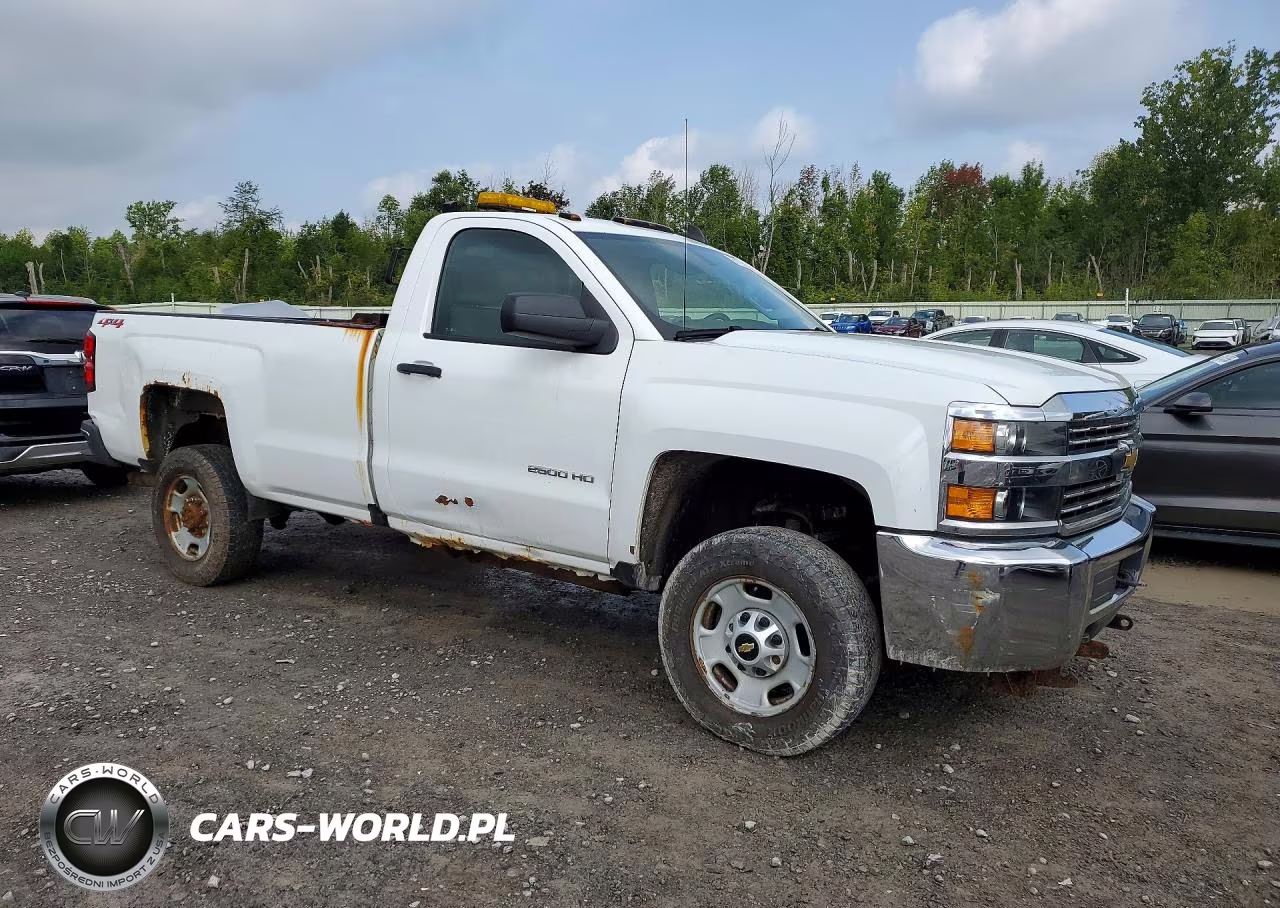 2018 Chevrolet Silverado K2500 Heavy Duty VIN:1GC0KUEGXJZ131795 - 4
