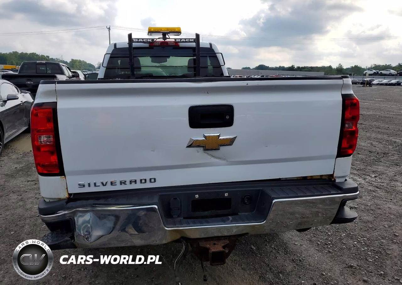 2018 Chevrolet Silverado K2500 Heavy Duty VIN:1GC0KUEGXJZ131795 - 6
