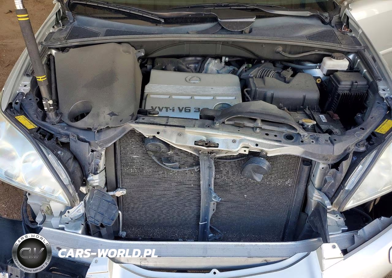 2005 Lexus Rx 330 VIN:2T2HA31U35C078140 - 12