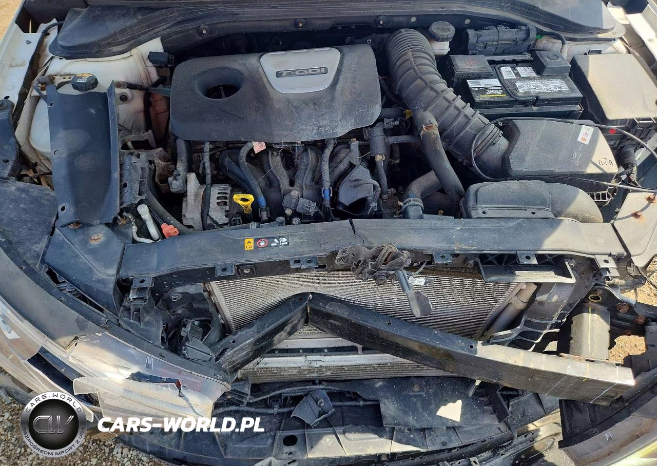 2019 Hyundai Elantra Sport VIN:KMHD04LB9KU828996 - 11