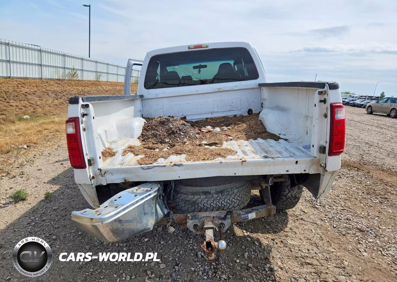 2009 Ford F250 Super Duty VIN:1FTSX21Y89EA18136 - 6