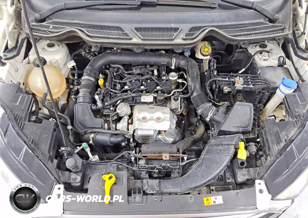 2020 Ford Ecosport Se VIN:MAJ3S2GE1LC352047 - 12