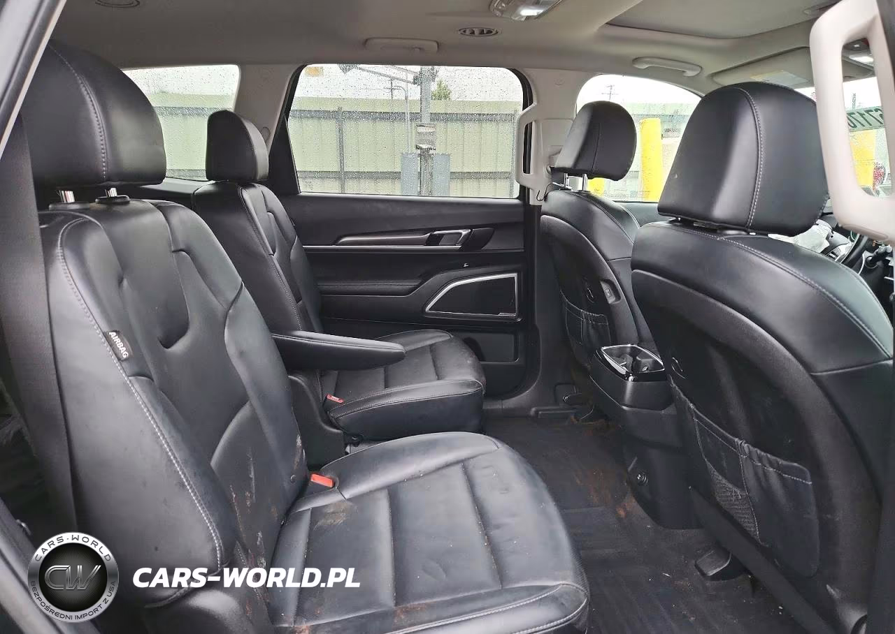 2024 Kia Telluride S VIN:5XYP6DGC9RG422263 - 11
