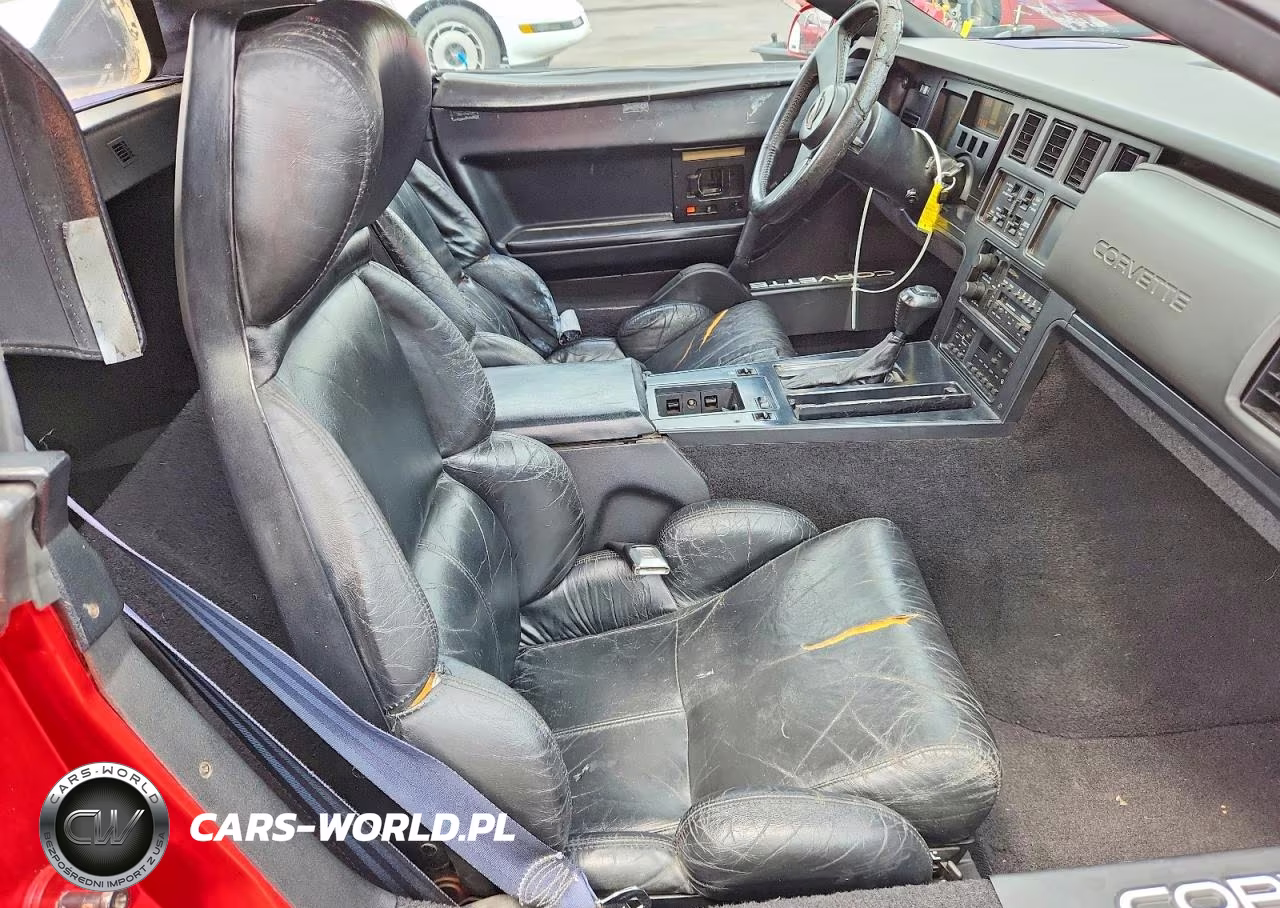 1989 Chevrolet Corvette VIN:1G1YY3181K5111009 - 10