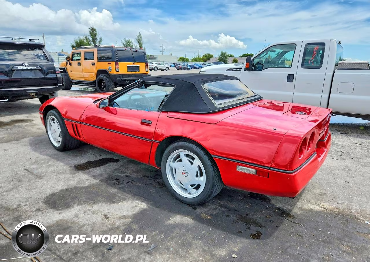 1989 Chevrolet Corvette VIN:1G1YY3181K5111009 - 2