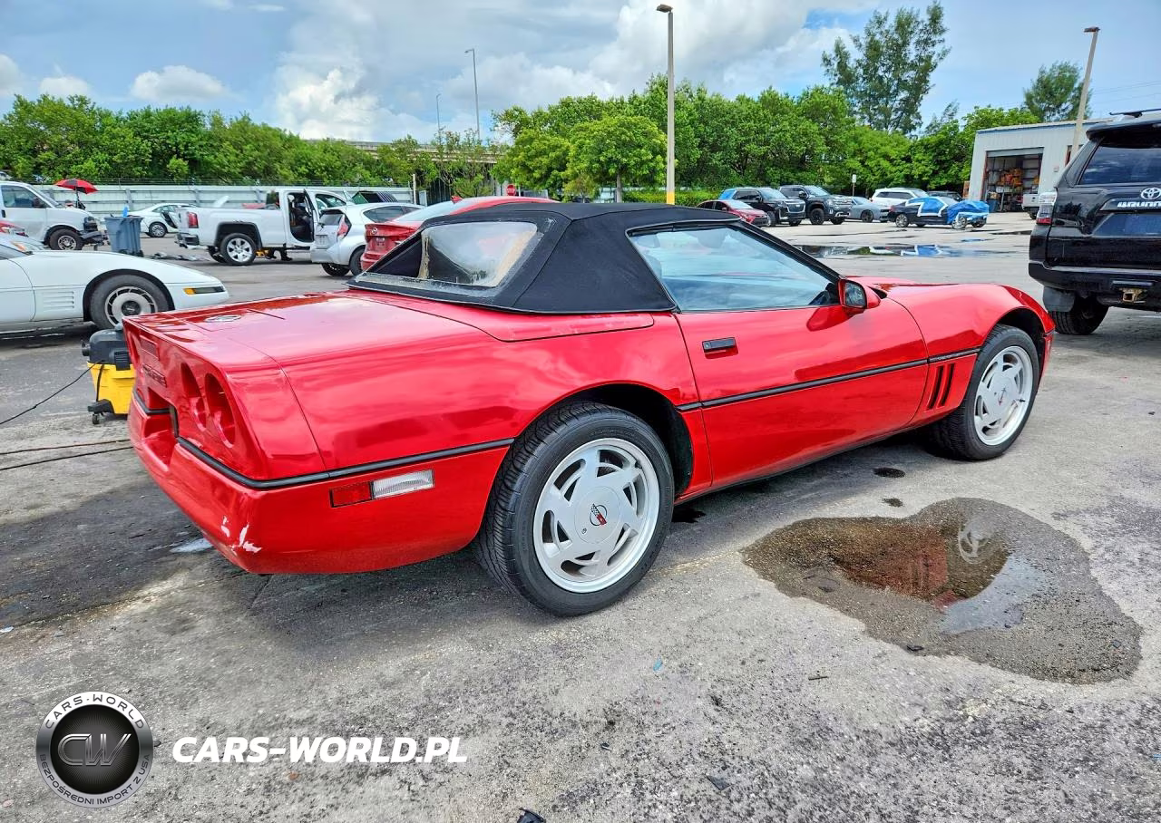 1989 Chevrolet Corvette VIN:1G1YY3181K5111009 - 3