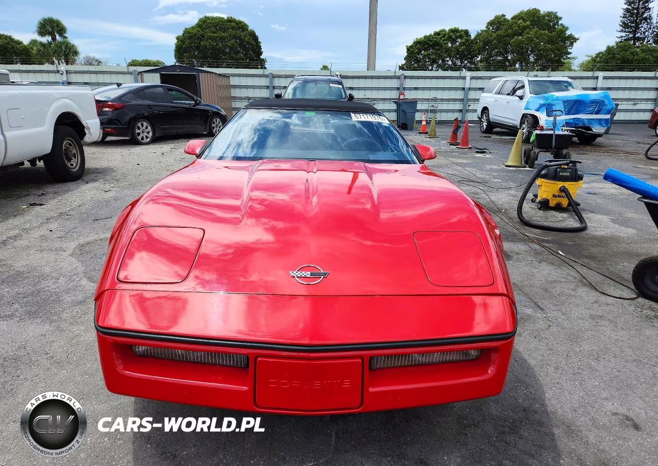 1989 Chevrolet Corvette VIN:1G1YY3181K5111009 - 5