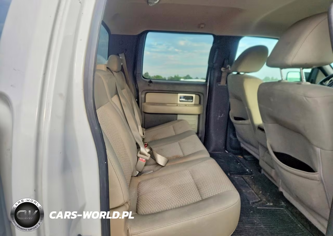 2009 Ford F150 Supercrew VIN:1FTRW14819FA34289 - 10