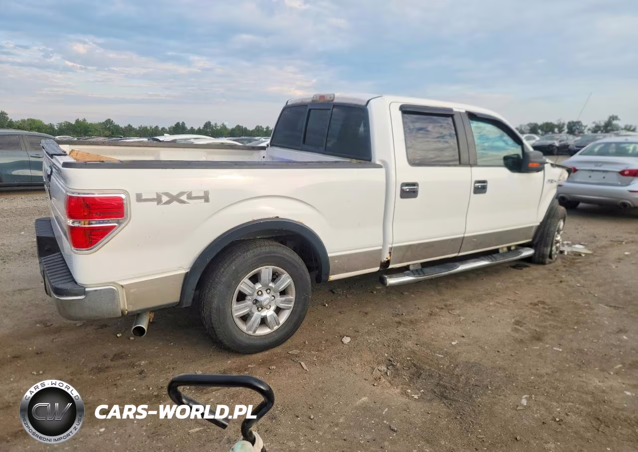 2009 Ford F150 Supercrew VIN:1FTRW14819FA34289 - 3