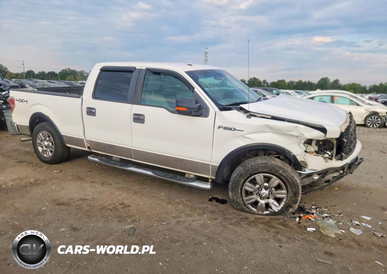 2009 Ford F150 Supercrew VIN:1FTRW14819FA34289 - 4