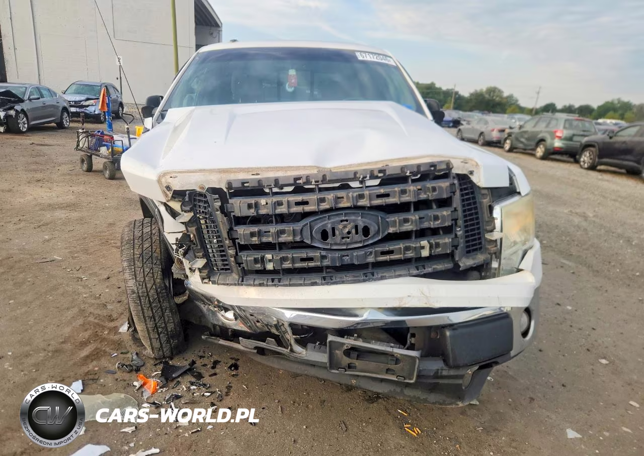 2009 Ford F150 Supercrew VIN:1FTRW14819FA34289 - 5