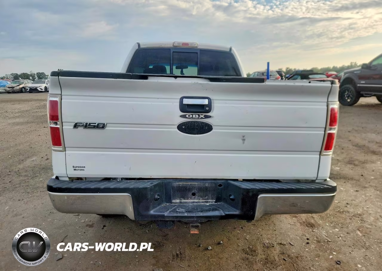 2009 Ford F150 Supercrew VIN:1FTRW14819FA34289 - 6