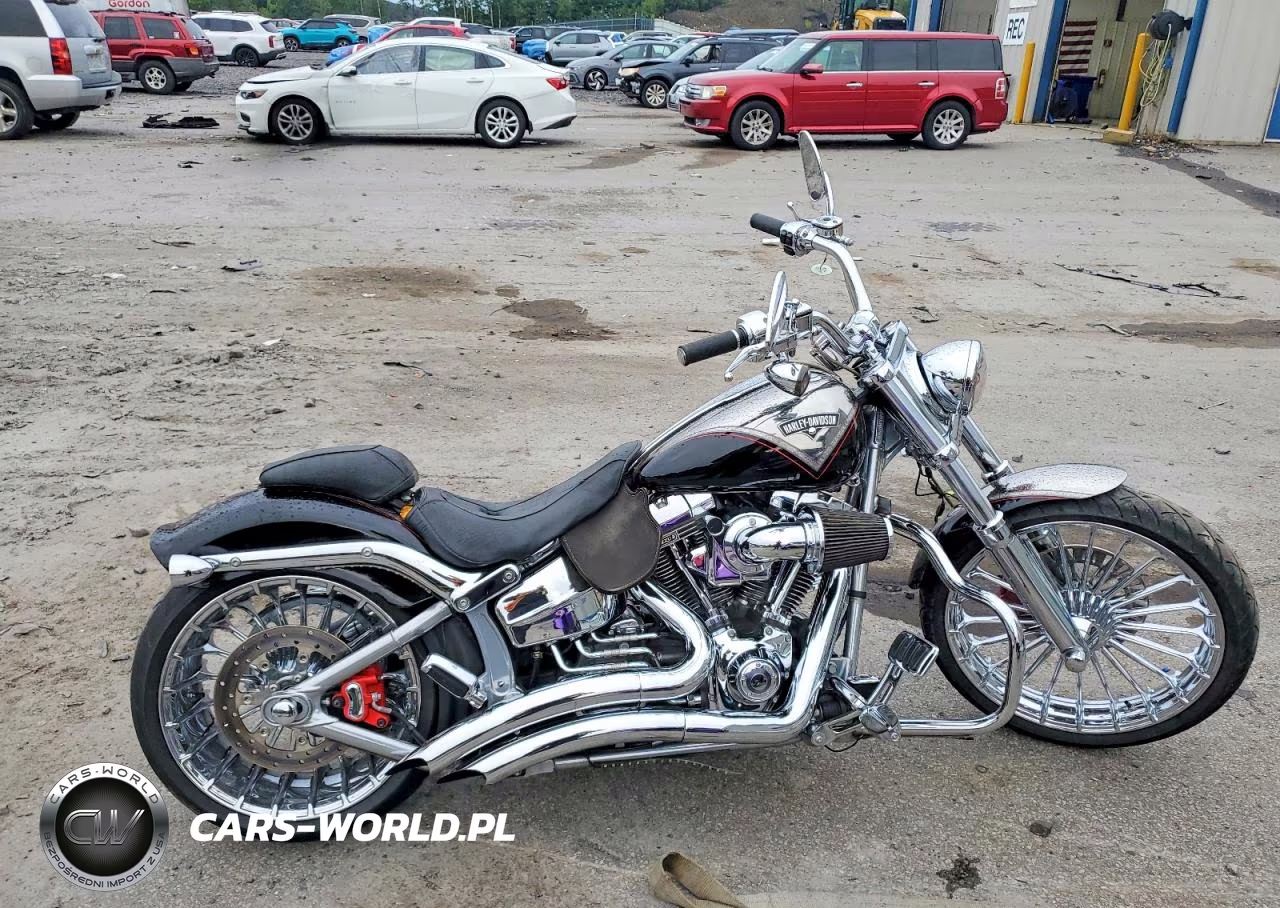 2013 Harley-Davidson Fxsbse Cvo Breakout