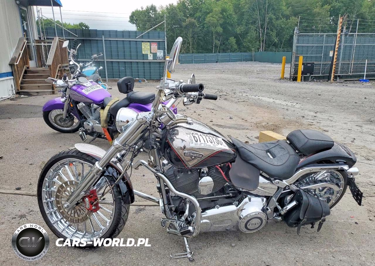 2013 Harley-Davidson Fxsbse Cvo Breakout VIN:1HD1TD912DB961965 - 3