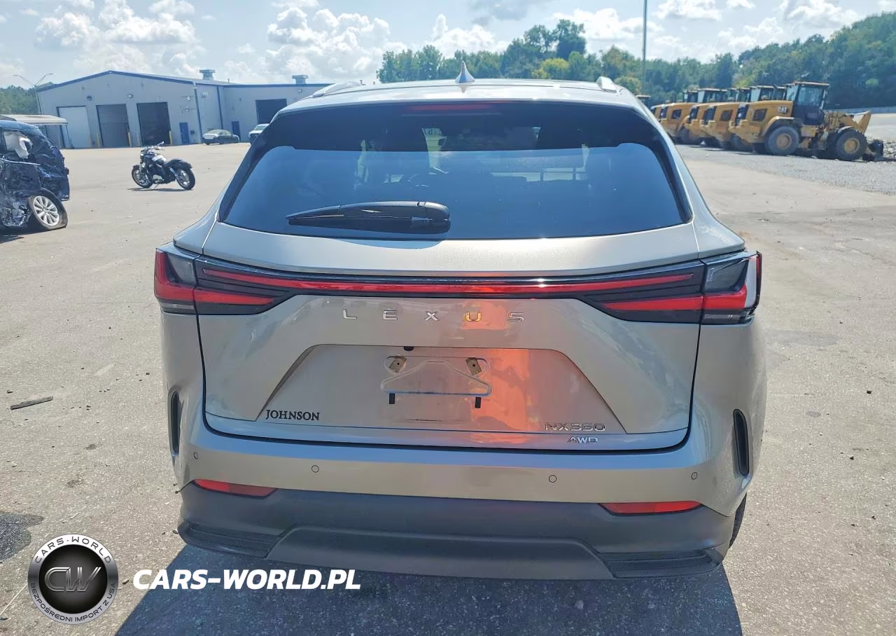 2024 Lexus Nx 350 Premium VIN:2T2GGCEZ3RC047928 - 6