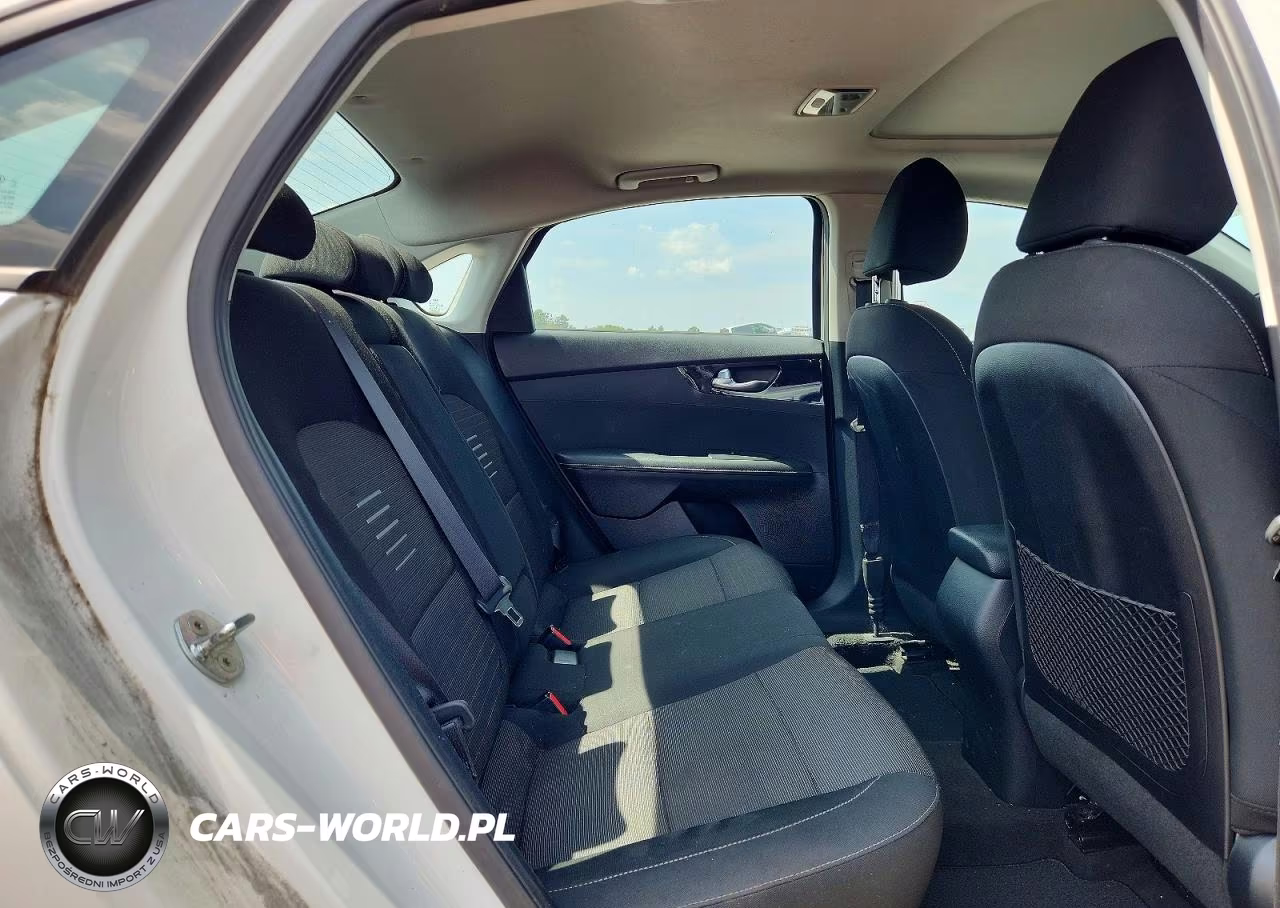 2019 Kia Forte S VIN:3KPF34AD3KE074906 - 10
