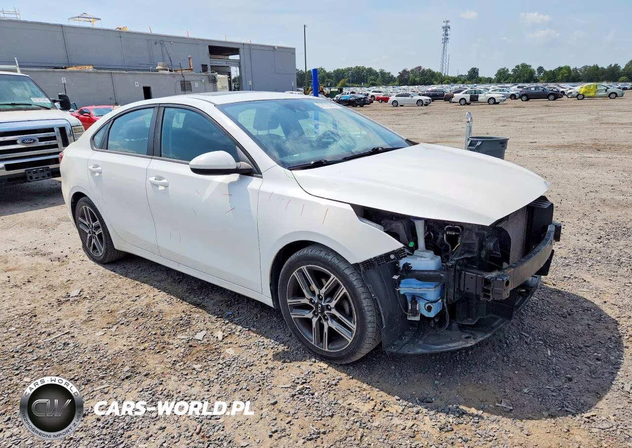 2019 Kia Forte S VIN:3KPF34AD3KE074906 - 4
