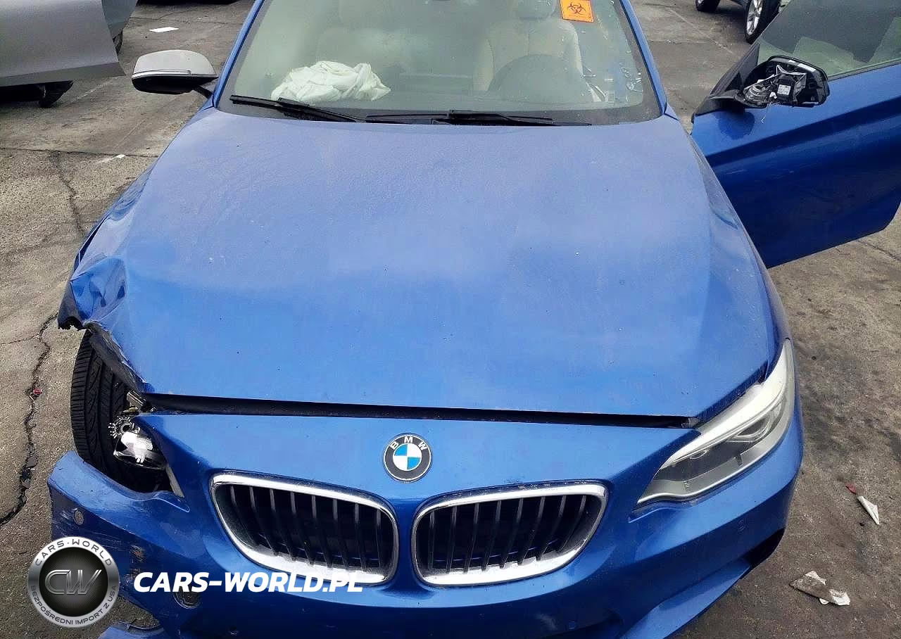 2015 BMW M235I VIN:WBA1M1C58FV393521 - 11