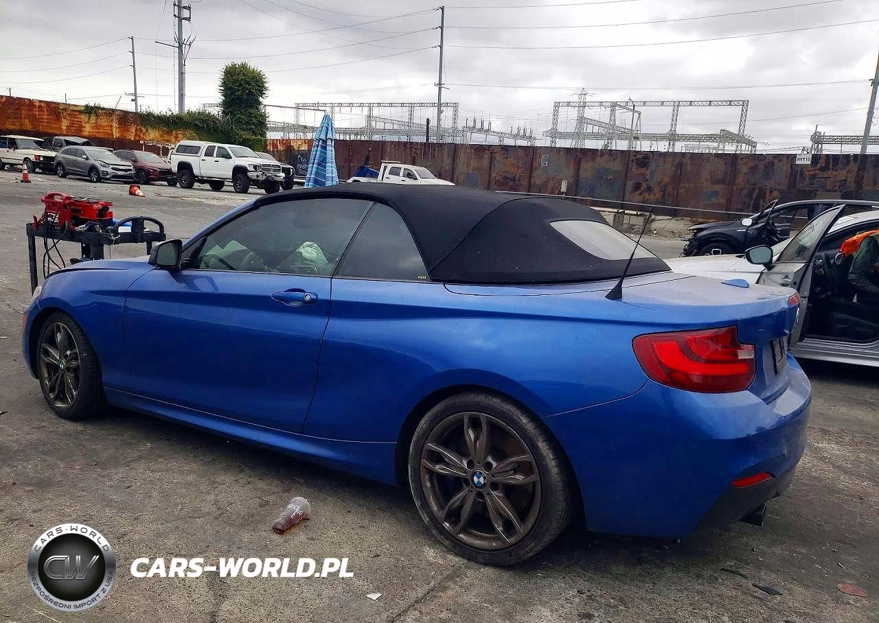 2015 BMW M235I VIN:WBA1M1C58FV393521 - 2