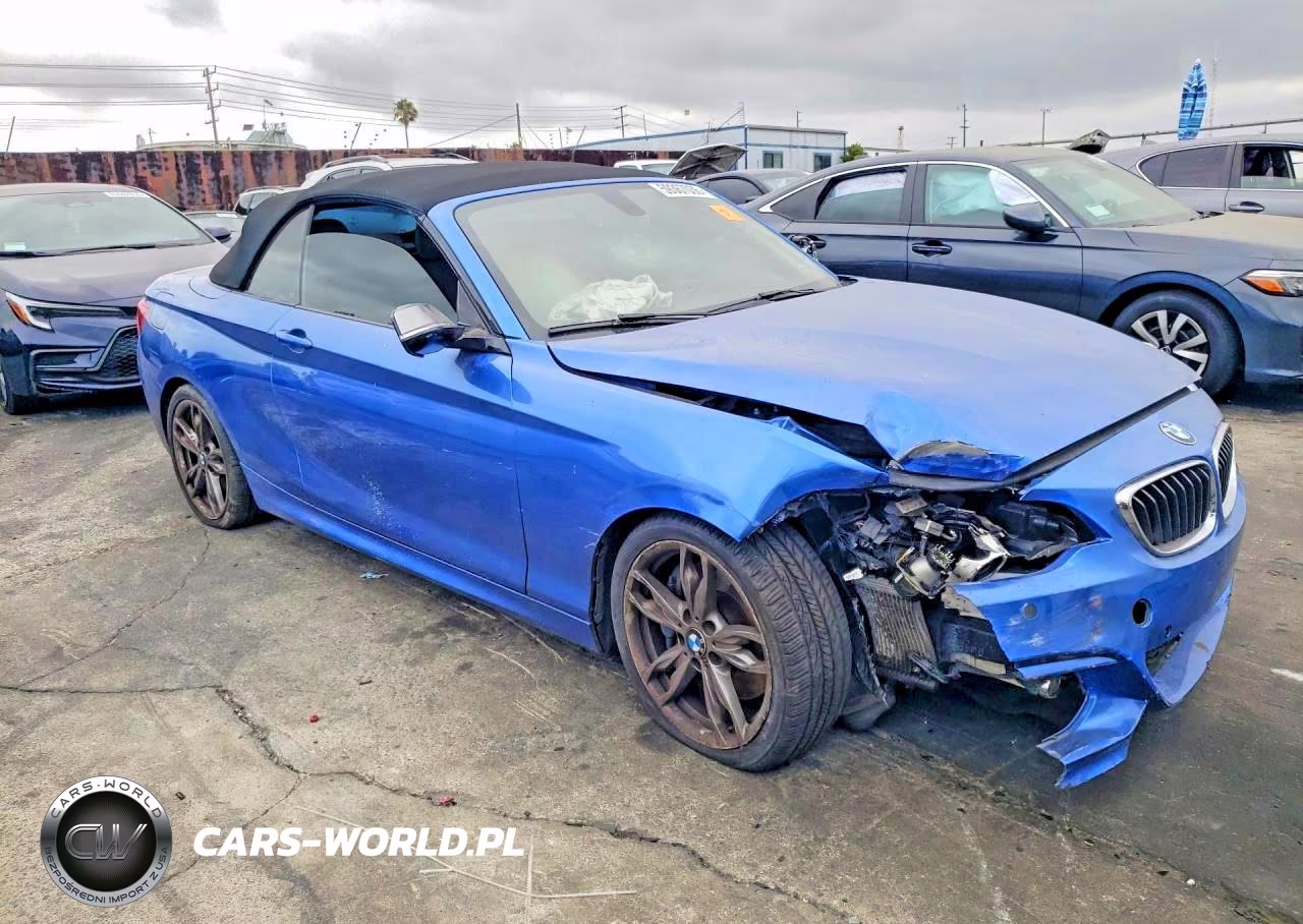 2015 BMW M235I VIN:WBA1M1C58FV393521 - 4